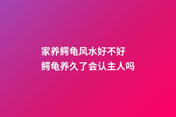 家养鳄龟风水好不好 鳄龟养久了会认主人吗